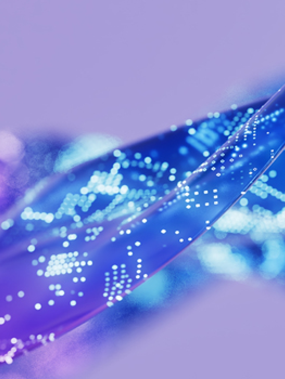 Formes ondulées translucides en dégradés de bleu et de violet, recouvertes de motifs lumineux rappelant des circuits ou des données numériques, sur un fond mauve.